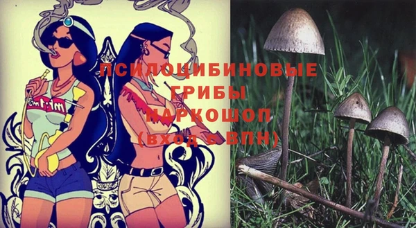 дурь Вяземский