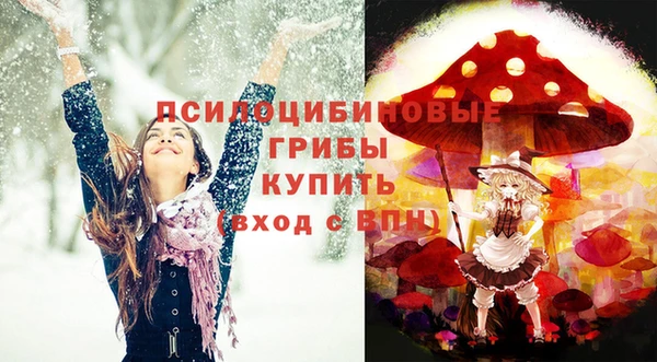 спиды Володарск