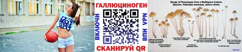 даркнет наркотические препараты Певек Псилоцибиновые грибы Magic Shrooms наркотики